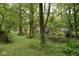 Charming footbridge in a lush, wooded area at 9100 S Us Highway 35, Muncie, IN 47302