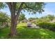 Spacious backyard with large tree and grassy area at 1683 Conner St, Noblesville, IN 46060