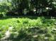 Overgrown backyard with patchy grass and some weeds at 2901 S Taft Ave, Indianapolis, IN 46241