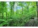 Wooded view from a deck, showcasing the property's natural beauty at 9307 E Dill Rd, Morgantown, IN 46160