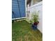 Small backyard with a tomato plant and some ground cover at 32 E Caven St, Indianapolis, IN 46225