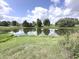 Serene pond with lush green surroundings at 6558 Caressa Way, Indianapolis, IN 46259