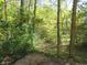Wooded backyard with a stone pathway leading into the trees at 431 Vestal Rd, Plainfield, IN 46168