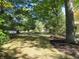 Landscaped front yard with large trees and mulch at 431 Vestal Rd, Plainfield, IN 46168