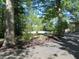 Landscaped area with young trees and mulch near driveway at 431 Vestal Rd, Plainfield, IN 46168