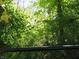 Wooded area behind the house with lush greenery at 431 Vestal Rd, Plainfield, IN 46168