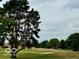 View of a golf course with trees, sand trap, and green at 980 Paris Dr, Franklin, IN 46131