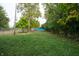 Overgrown backyard with a chain link fence and mature trees at 2363 N Gale St, Indianapolis, IN 46218