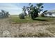 Front yard with gravel and mature trees at 1452 E Sr 234, Greenfield, IN 46140