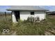 Small detached garage with overgrown weeds at 1452 E Sr 234, Greenfield, IN 46140