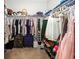 Large walk-in closet with ample hanging and shelving space at 1569 Tupelo Dr, Greenfield, IN 46140