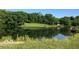 Scenic pond with lush greenery and a dock at 5736 Birtz Rd, Indianapolis, IN 46216