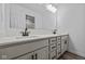 Elegant bathroom boasting dual sinks, a large mirror, and grey cabinets at 10620 Banyan Wood Ct, Indianapolis, IN 46239