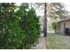 Landscaped area with arborvitae trees and gravel at 466 Sycamore Ridge Ct, Avon, IN 46123