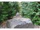 Large stone landscaping feature surrounded by greenery at 466 Sycamore Ridge Ct, Avon, IN 46123