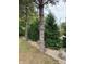 Landscaped area with evergreen trees and stone border at 466 Sycamore Ridge Ct, Avon, IN 46123