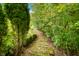Wooden pathway winding through a lush, green forest at 3958 E Edgewood Cir, Martinsville, IN 46151