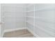 Walk-in pantry with ample shelving for storage at 4435 W Preserve Pass, New Palestine, IN 46163