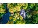 Aerial view of house nestled in lush foliage, near a pond at 6438 Pin Oak Dr, McCordsville, IN 46055