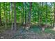 View of a wooded area behind house with stacked wood at 6438 Pin Oak Dr, McCordsville, IN 46055