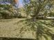 Large backyard with mature trees and grassy area at 926 Stockton St, Indianapolis, IN 46260