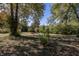 Large backyard with fire pit and mature trees at 7060 S Meridian St, Indianapolis, IN 46217