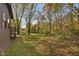 Landscaped backyard with large trees and grassy area at 9562 N Gasburg Rd, Mooresville, IN 46158