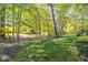 Spacious backyard with mature trees and a tranquil atmosphere at 1079 Old Eagle Way, Greenwood, IN 46143