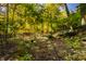 Wooded backyard with a stone path and lush greenery at 9468 Sullivan Pl, Zionsville, IN 46077