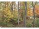 View of a wooded backyard with fall colors at 6971 Lynx Dr, Nineveh, IN 46164