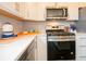Modern kitchen features stainless steel appliances and white cabinetry at 236 Sam Himsel Way, Danville, IN 46122