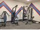 Fitness center with weight machines and strength training equipment at 236 Sam Himsel Way, Danville, IN 46122