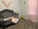Adorable toddler bedroom featuring a crib, toys, and soft decor at 3503 W 100 N, Bargersville, IN 46106