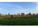 Open field with grass and trees in fall at 8353 N Sr 109, Wilkinson, IN 46186