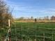 Pasture with wire fence and trees at 8353 N Sr 109, Wilkinson, IN 46186
