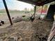 Several goats in a dirt enclosure with access to a barn at 8353 N Sr 109, Wilkinson, IN 46186