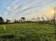 Open field with grass, trees, and sunset at 8353 N Sr 109, Wilkinson, IN 46186