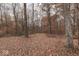 Wooded area with fall leaves on the ground at 8190 Beech Grove Rd, Martinsville, IN 46151