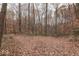 Wooded area with fall leaves on the ground at 8190 Beech Grove Rd, Martinsville, IN 46151