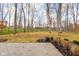 Spacious backyard with patio and mature trees at 10771 Holliday Farms Blvd, Zionsville, IN 46077