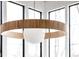 Modern circular light fixture with wood accents above dining area at 10771 Holliday Farms Blvd, Zionsville, IN 46077