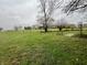Spacious backyard with lush green grass and mature trees at 3149 E 900 S, Flat Rock, IN 47234