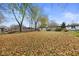 Autumn leaves cover the expansive backyard at 3805 Byram Ave, Indianapolis, IN 46208