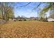 Large backyard with fall leaves and neighbor's houses visible at 3805 Byram Ave, Indianapolis, IN 46208