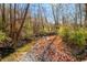 Small creek running through a wooded area with autumn colors at 6465 Mt Moriah Rd, Nineveh, IN 46164