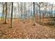 Hardwood forest with a carpet of fallen brown leaves at 6465 Mt Moriah Rd, Nineveh, IN 46164