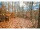 Forest path covered in fallen leaves during the autumn season at 6465 Mt Moriah Rd, Nineveh, IN 46164