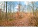 Trail winding through a hardwood forest in the fall at 6465 Mt Moriah Rd, Nineveh, IN 46164