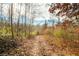 Trail through a hardwood forest with fallen leaves in autumn at 6465 Mt Moriah Rd, Nineveh, IN 46164