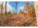Wooded area with a trail covered in brown leaves at 6465 Mt Moriah Rd, Nineveh, IN 46164